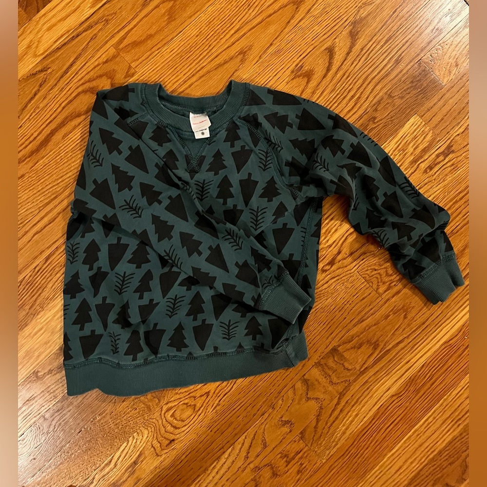 Hanna Andersson Sweatshirt (green trees)